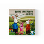 Aynur Bayram -  Beyaz Tavşanlar Ülkesi