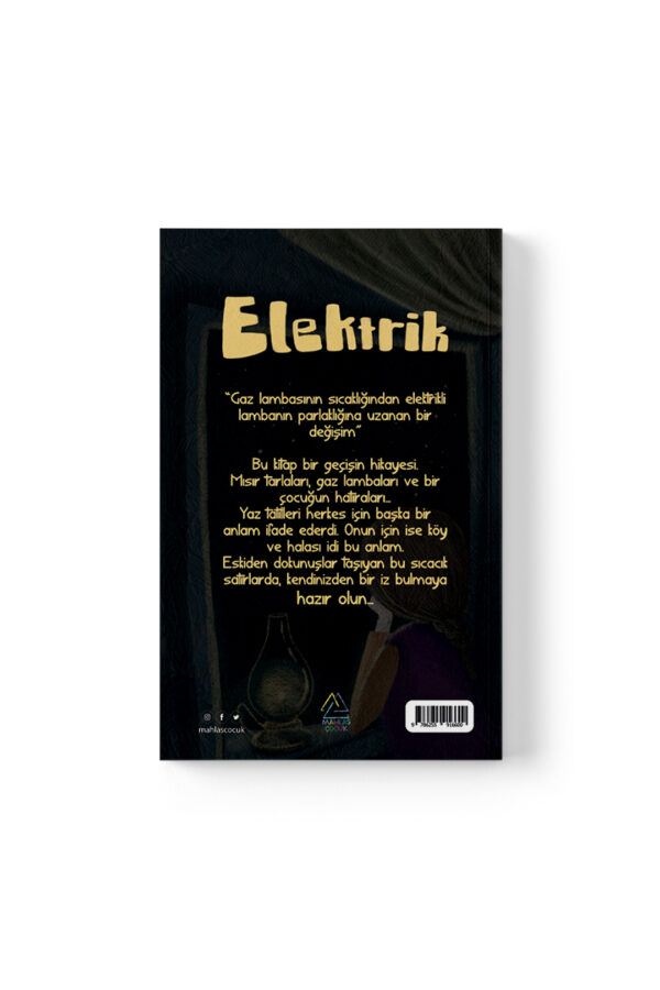 Berrin Karabakal - Elektrik - Görsel 3