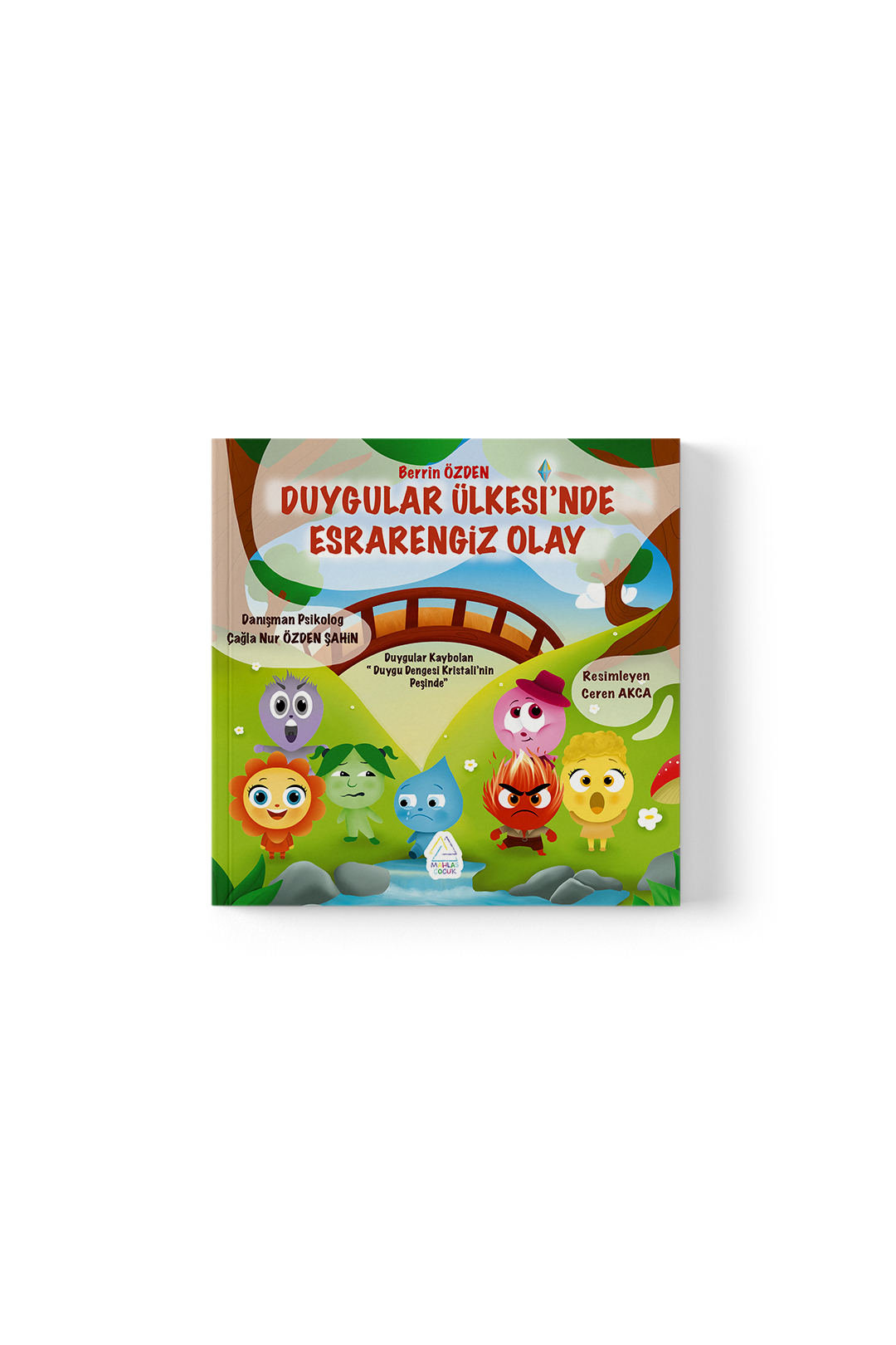 berrin-ozden-duygular-ulkesin-de-esrarengiz-olay-1095 Berrin Özden - Duygular Ülkesin’de Esrarengiz Olay - Görsel 1
