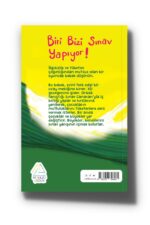 Biri Bizi Sınav Yapıyor - Görsel 3