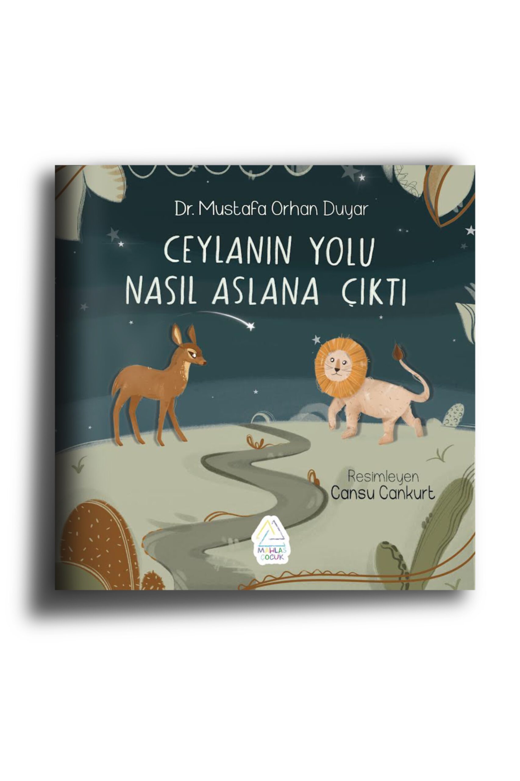 ceylan-in-yolu-nasil-aslan-a-cikti-152 Ceylan’ın yolu nasıl Aslan’a çıktı? - Görsel 1