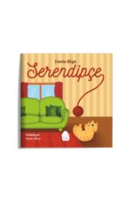 Damla Bilgin - Serendipçe