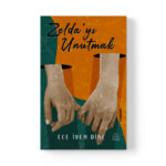 Ece İrem Dinç - Zelda’yı Unutmak