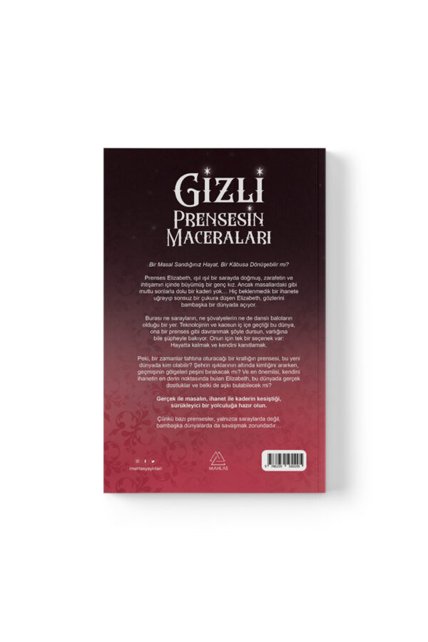 Fahrettin Yiğit Erden - Gizli Prensesin Maceraları - Görsel 3