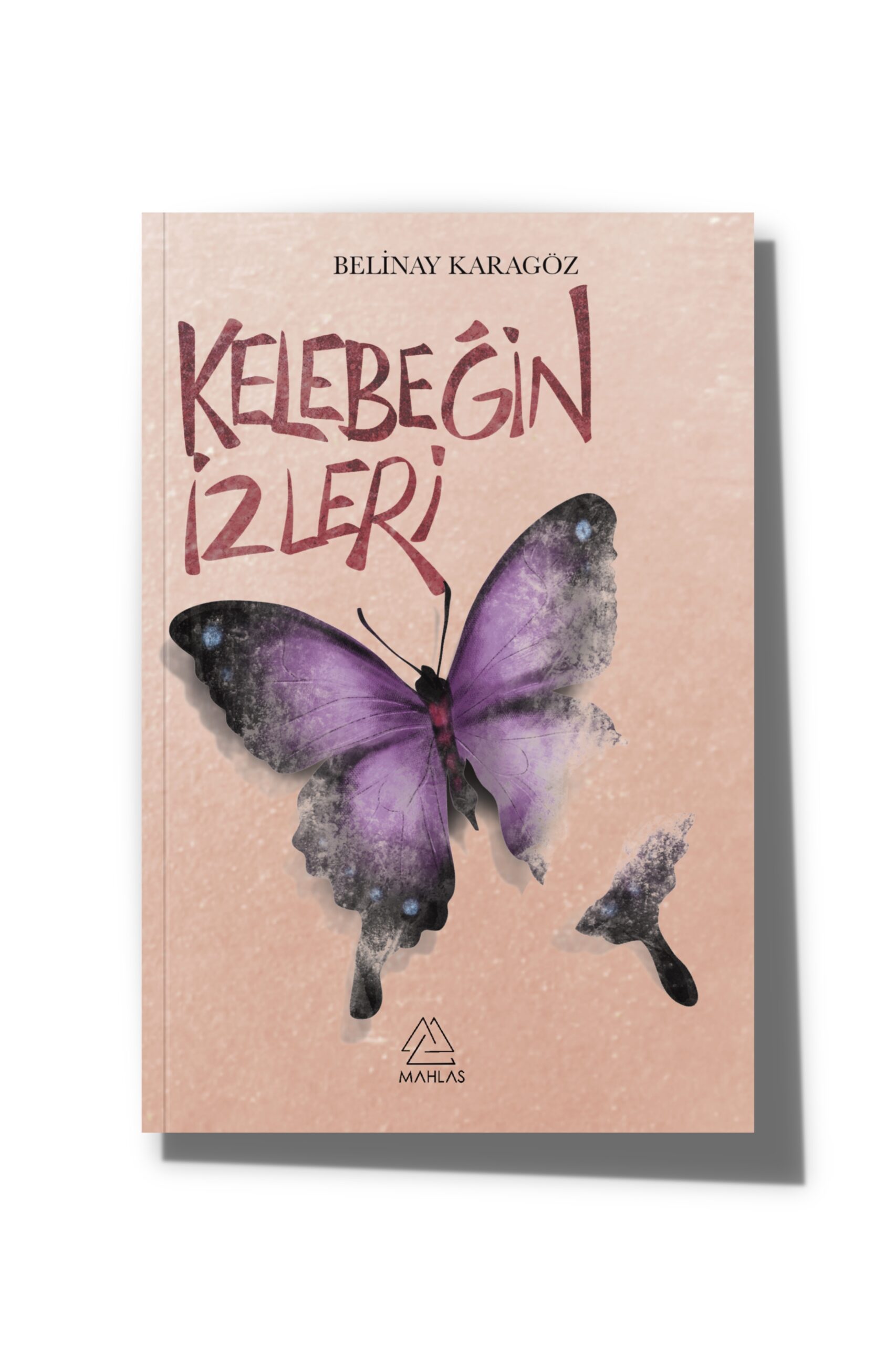 kelebegin-izleri-258 Kelebeğin İzleri - Görsel 1