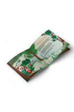 Nihal Topbaş - Kukla Kestane ve Küçük Kırmızı Rüzgar Gülü - Görsel 4