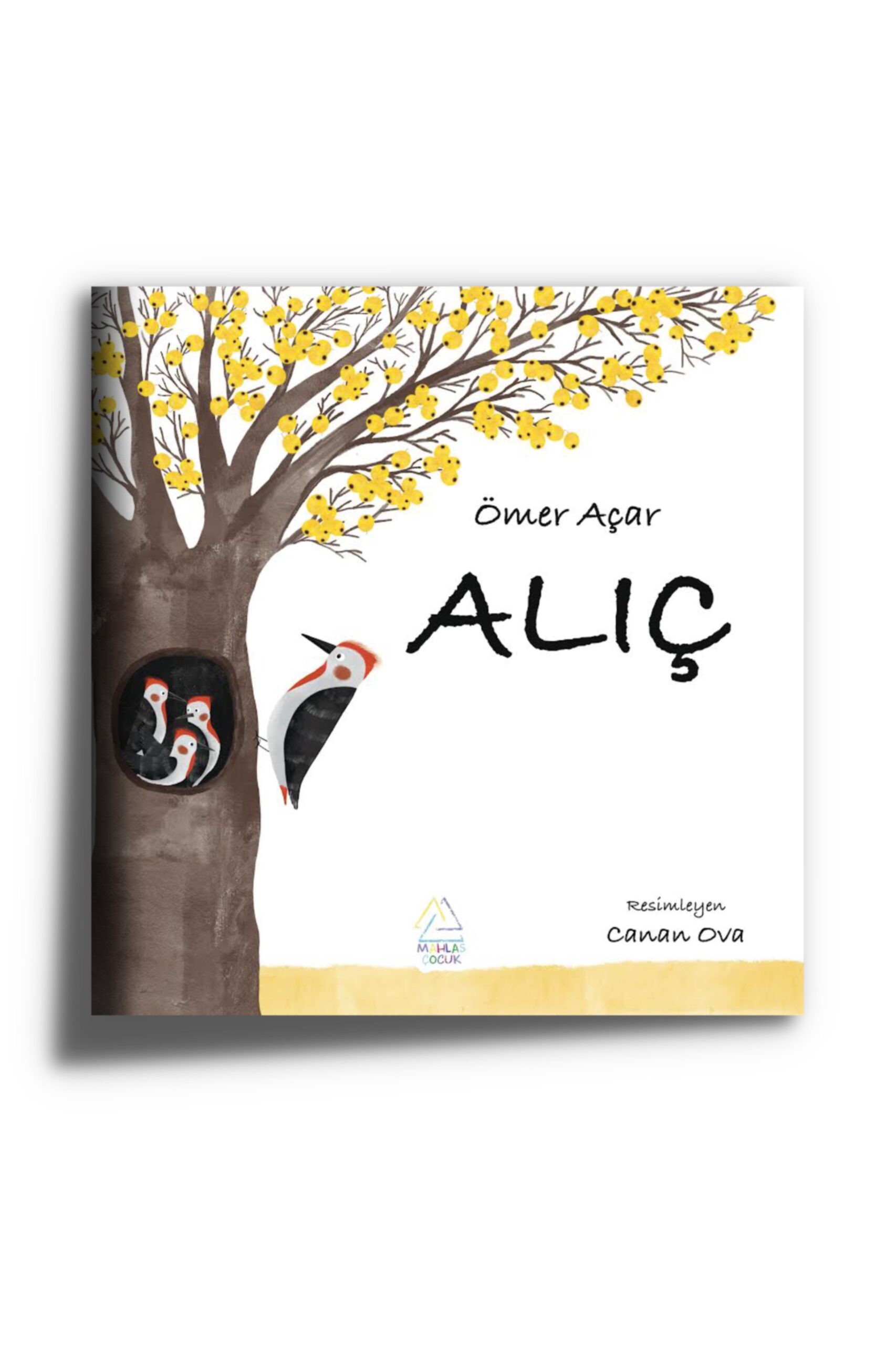 omer-acar-alic-146 Ömer Açar  - Alıç - Görsel 1