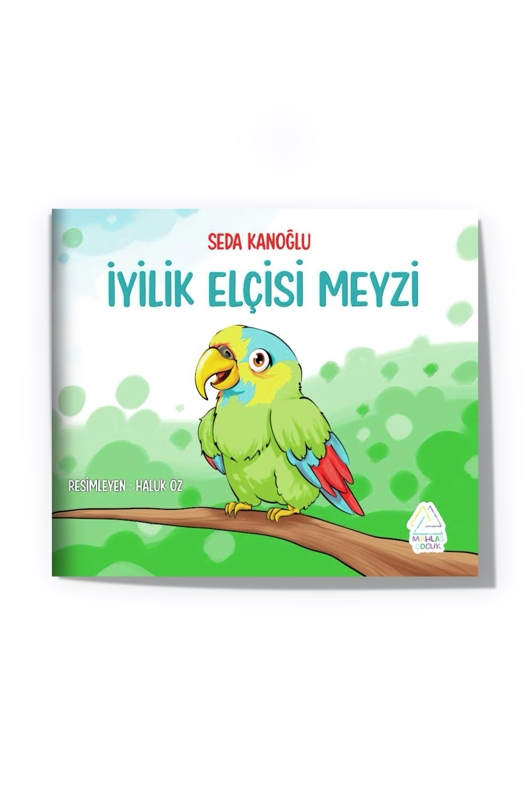 seda-kanoglu-iyilik-elcisi-meyzi-3 Seda Kanoğlu - İyilik Elçisi Meyzi - Görsel 1