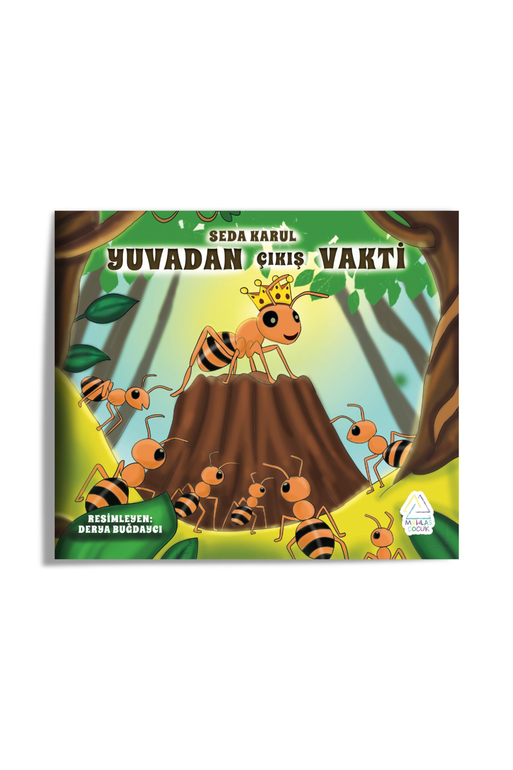 seda-karul-yuvadan-c-ikis-vakti-829-scaled Seda Karul - Yuvadan Çıkış Vakti - Görsel 1