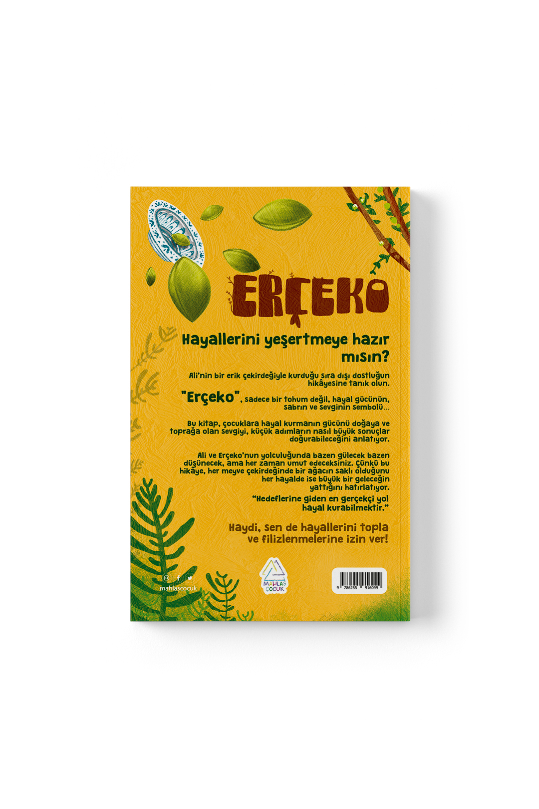 seda-ozgokce-erceko-1123 Seda Özgökçe - Erçeko - Görsel 3