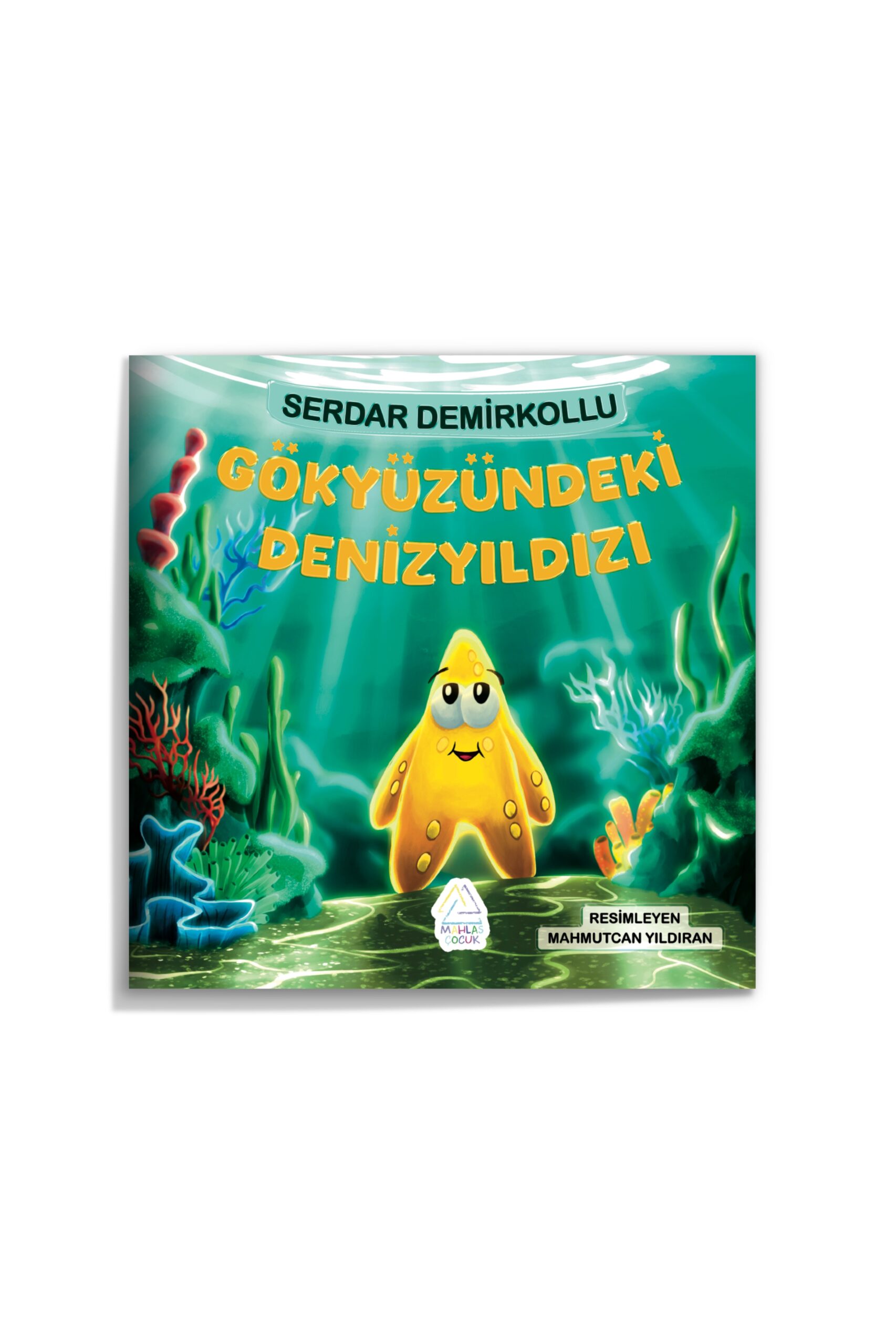 serdar-demirkollu-go-kyu-zu-ndeki-denizyildizi-733-scaled Serdar Demirkollu -  Gökyüzündeki Denizyıldızı - Görsel 1