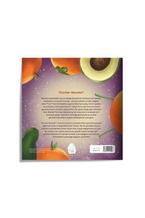 Sinem Özdem - Portiler Nerede - Görsel 3