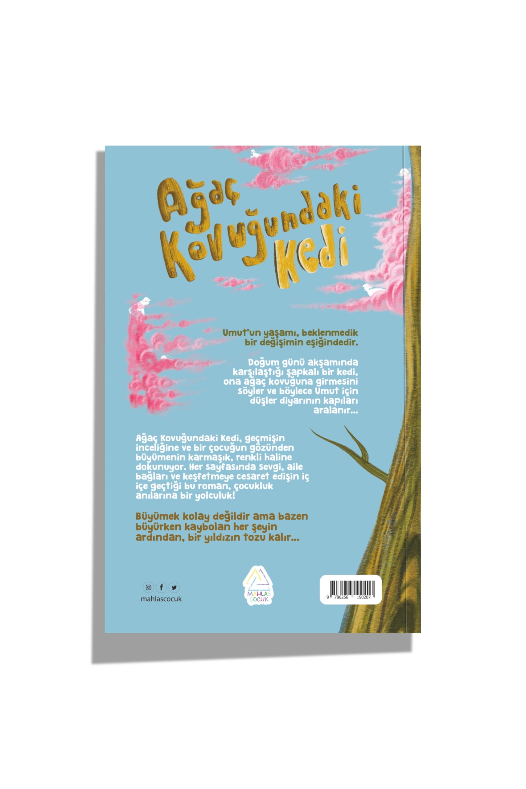 ug-ur-fidan-ag-ac-kovug-undaki-kedi-924-scaled U.F. Nerik  -  Ağaç Kovuğundaki Kedi - Görsel 3