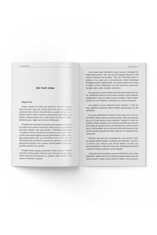 Şükran Secem Gül -  Rüzgar Etkisi - Görsel 2