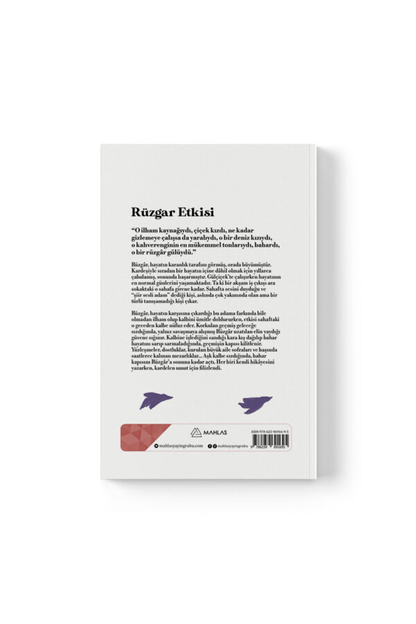 Şükran Secem Gül -  Rüzgar Etkisi - Görsel 3