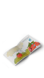 Hafize Sultan Ağakan - Kahraman Domates - Görsel 2