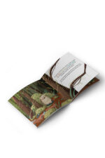 Nazife Yavçın - Moi: Annemin Kokusu - Görsel 2