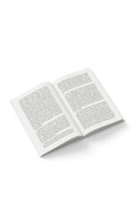 Server Koç - Giz - Görsel 2