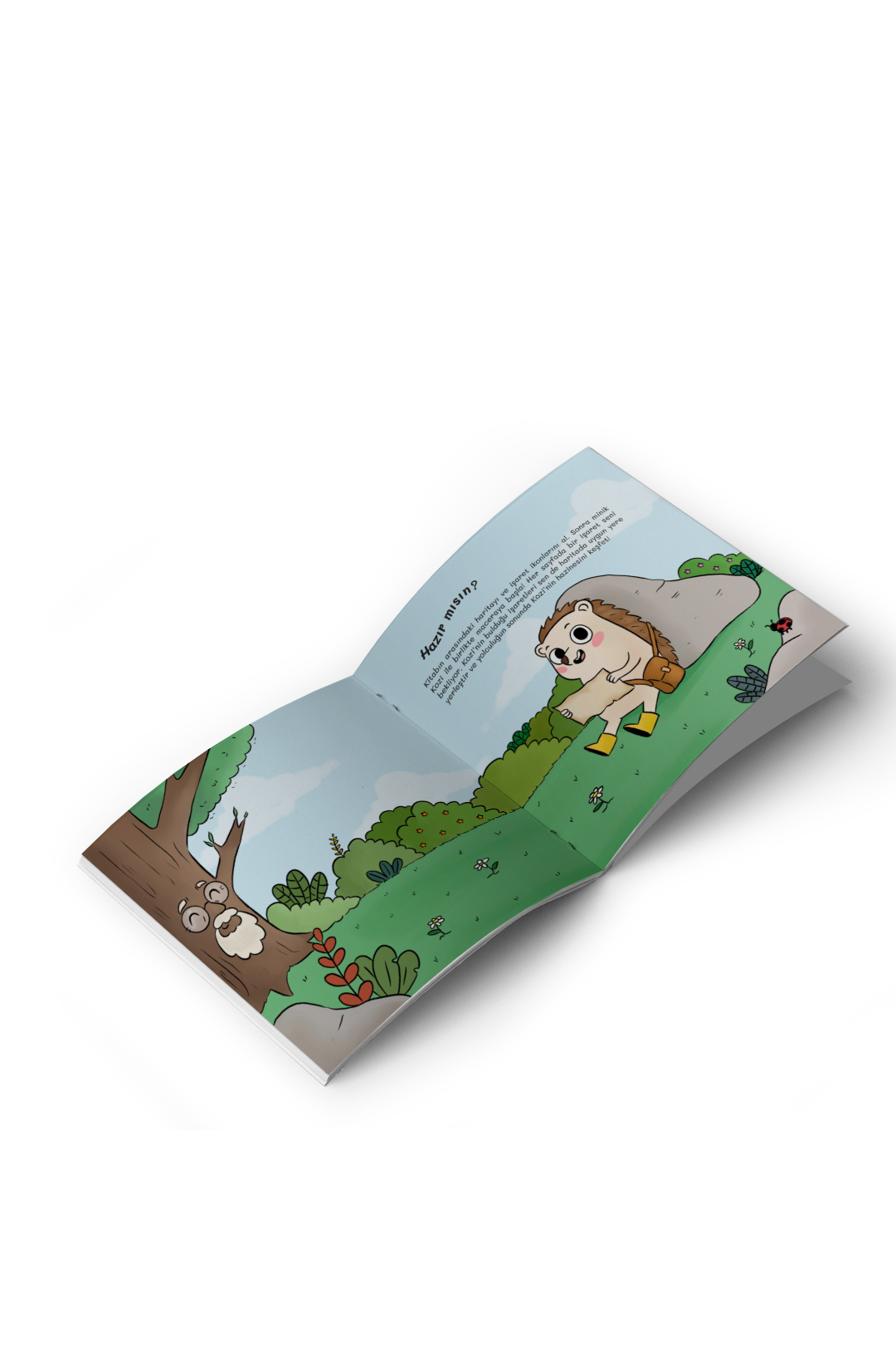 asli tatli fatos isler bilge agac ve kozi nin duygular sandigi 2380