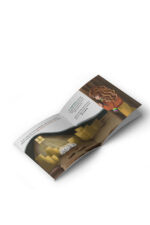 Ayşe Taşkıran - Benim Adım Kokoş: “Küçük Bir Kalbin Büyük Cesaret Masalı” - Görsel 2