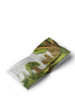 Cansu Gül - Gülümsemek Hep Mutluluk Mudur - Görsel 2