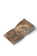 Ceyda İpci - Fişek ve Köstebek: Dostluk Tünelinde Yolculuk… - Görsel 2